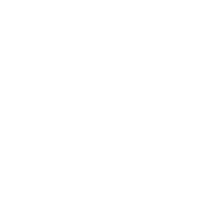 Electric Scooter Guide