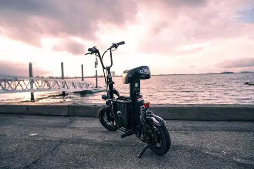 Fiido Q1s on dock overlooking pier