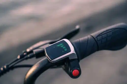 Fiido Q1s speedometer and horn