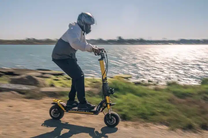 kaabo-wolf-king-gt-pro-man-riding