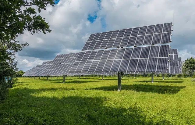 solar panels in a sunny, grassy field