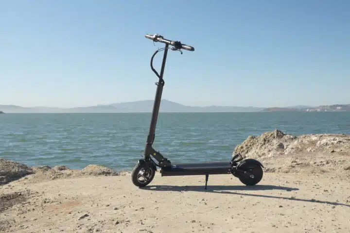 Fluid Horizon 2022 Portrait shot