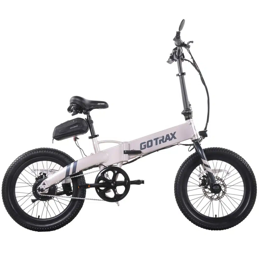 Gotrax F1