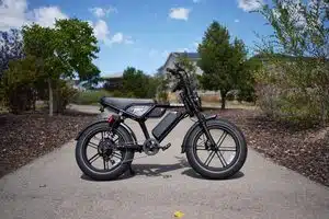 Heybike Titan moped-style electric bike, side view on a paved path, RiderGuide test bike